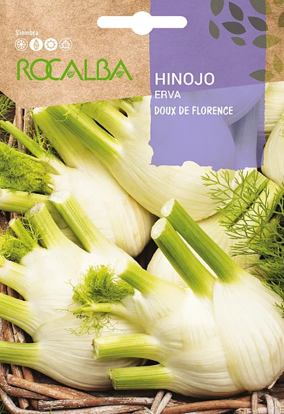 Semilla Hinojo de Florencia