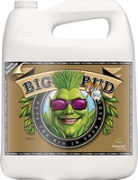 Big Bud Coco Liquid 250 ml