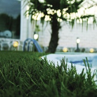 Cesped Artificial Lista Premium Grass Espesor 40 mm 2x4 m