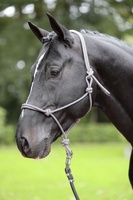 Cabezada Caballos nudos Full Navy/beige