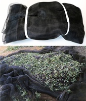 Manta para Recoleccion Aceitunas y Almendras 6x12 mt Manta para Recoleccion Aceitunas y Almendras 6x12 mt