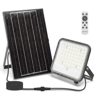 Foco Led Solar 100w con Panel Solar