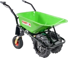 Carretilla Bateria Fanton EWD300A-80 300 Kg 20 Km Carretilla Bateria Fanton EWD300A-80 300 Kg 20 Km