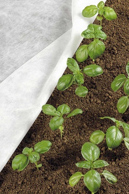 Manta Termica Protector Plantas 5x1,60 metros