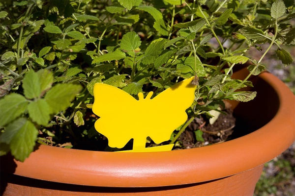 Trampa Adesiva Insectos Amarillo Dekor