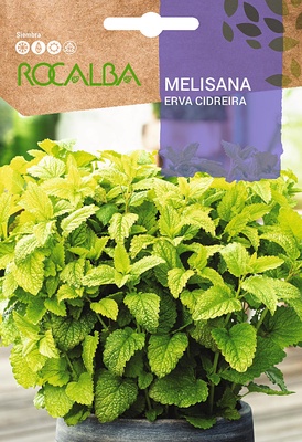 Semilla Melisana Semilla Melisana