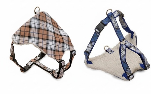 Arnes Perros Acolchado 45x32x2