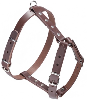 Arnes Cuero Sillero Simple Peque�o