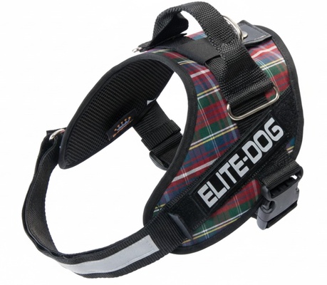 Arnes Elite Dog Talla 2