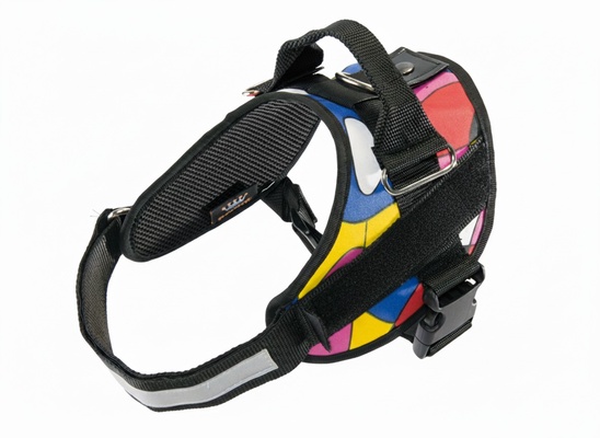 Arnes Elite Dog Talla 6