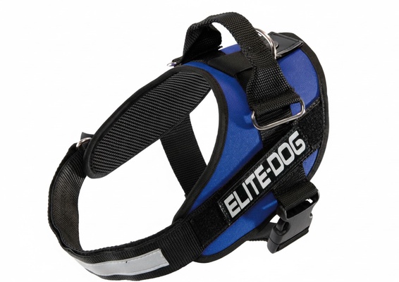 Arnes Elite Dog Talla 7