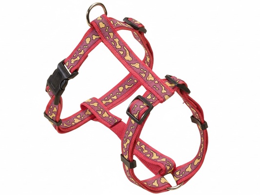 Arnes Nylon Huellas 1 x 25 / 40 cm.