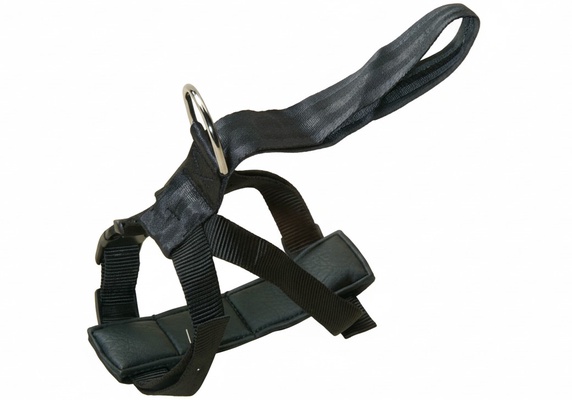 Arnes T Seguridad Automatico 80/100 cm.