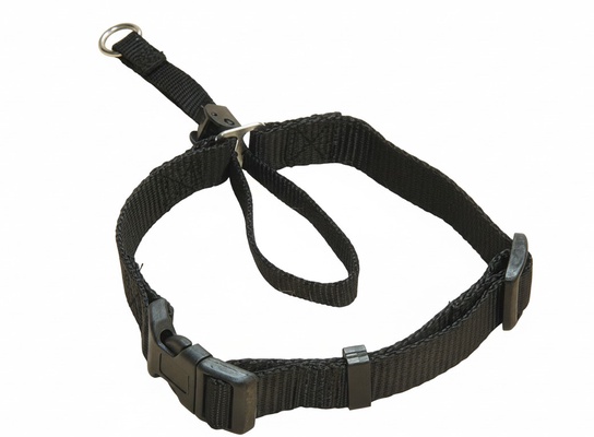 Bozal Collar Nylon 26 cm.