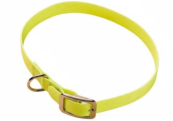 Collar Cinta Nylon Plastificada 55 x 2 cm