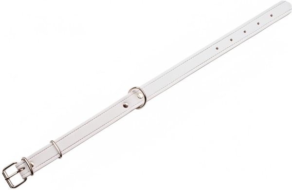 Collar Cuero Cromo 65 x 3,5 cm