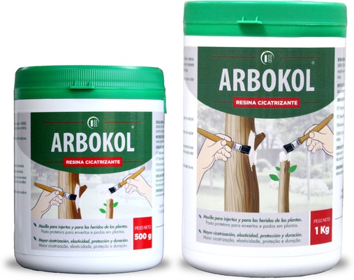 Arbokol Pasta Cicatrizante 500 gr Arbokol Pasta Cicatrizante 500 gr