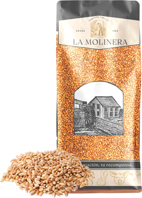 Trigo en Grano 25 kg