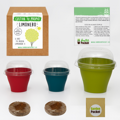Kit Brotes Pocket Limonero