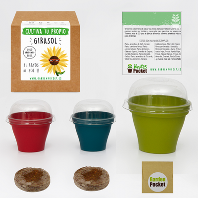 Kit Brotes Pocket Girasol