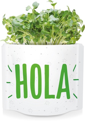 Postal Hola -semillas de Mostaza