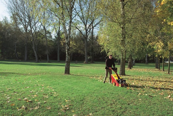 Cortacesped Outils Wolf T51 XP +TU510