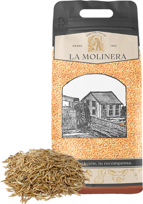 Avena Blanca Grano 10 kg