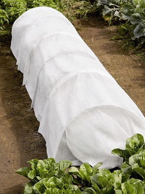 Descubre cómo proteger tus plantas con una manta térmica