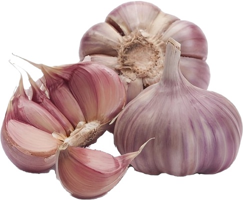 Ajos Pitirri Morado Kg
