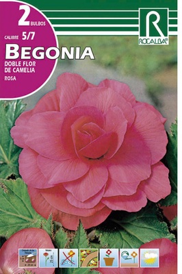 Jardinería Bulbo Begonia doble mezcla 3 unidades 