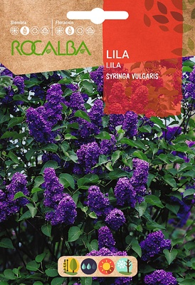 Semilla de Lila - Syringa Vulgaris - 