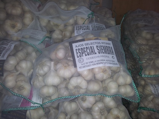 Bolsa Ajo Blanco Pitirri 5 kg