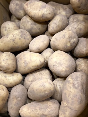 Patata Consumo La Perla Extra