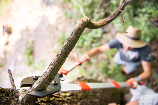 Tijera Cortarramas Telescopico de Yunque 75 - 100 cm