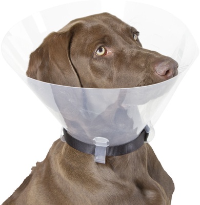 Collar Isabelino Quirurjico talla 28 - 33 cm