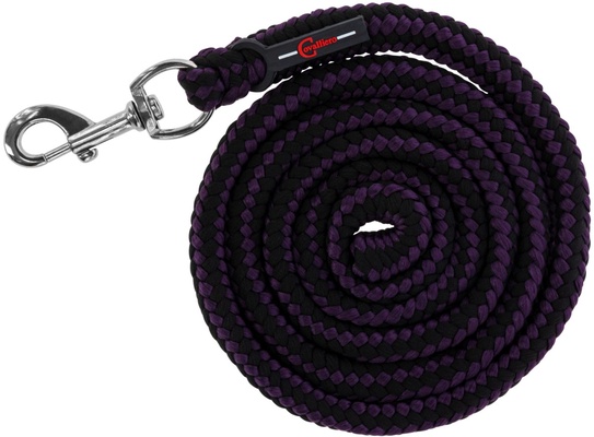 Ramal Hippo con Mosqueton Berenjena/Antracita