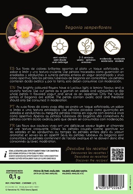 Semilla Flor Comestible Begonia