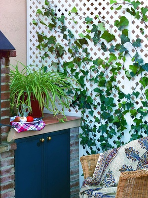 Panel Celosia Privat Blanco 1x2 Metros