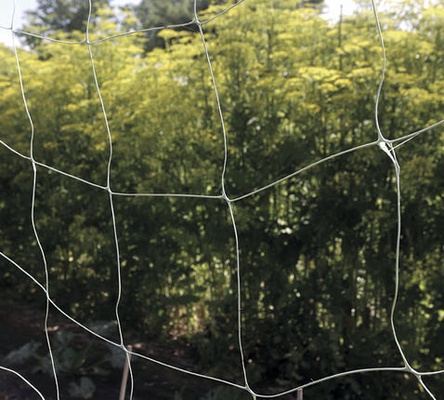 Malla Entutorar Biocompostable Trellinet 1,85x5 Metros