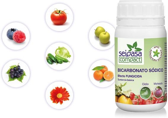 Fungicida Bicarbonato Sodico Basei 2 C 240 gr