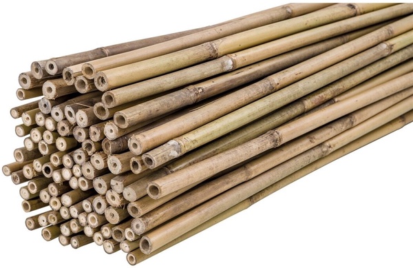Pack 100 Tutores Bambu 210 cm Grosor 16-18mm Pack 100 Tutores Bambu 210 cm Grosor 16-18mm