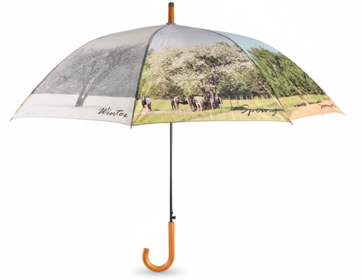 Paraguas 4 Estaciones