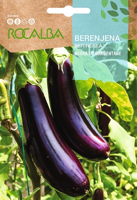 Semilla Berenjena Negra de Barbentane