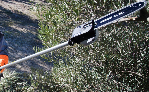 Podadora altura Echo  PPF 236 ES /25