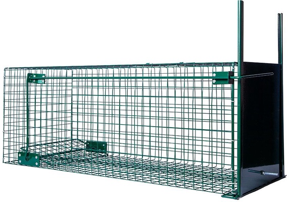 Jaula Trampa 1 Entrada BoxTrap 82x31x30 cm Jaula Trampa 1 Entrada BoxTrap 82x31x30 cm