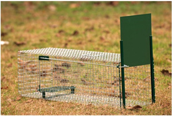 Jaula Trampa 1 Entrada BoxTrap 62 x 21 x 23 cm