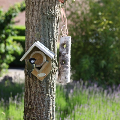 Casa para Mantequilla de Cacachuete