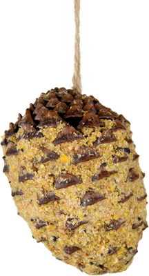 Cono de Pino Relleno