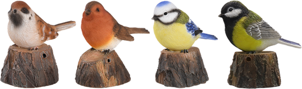 Pajaro de Bienvenida Cantarin