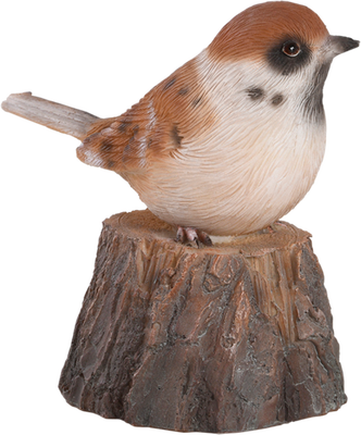 Pajaro de Bienvenida Cantarin